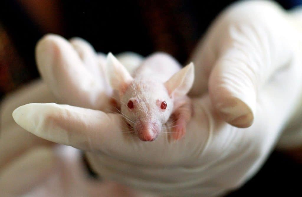 ratos-lab