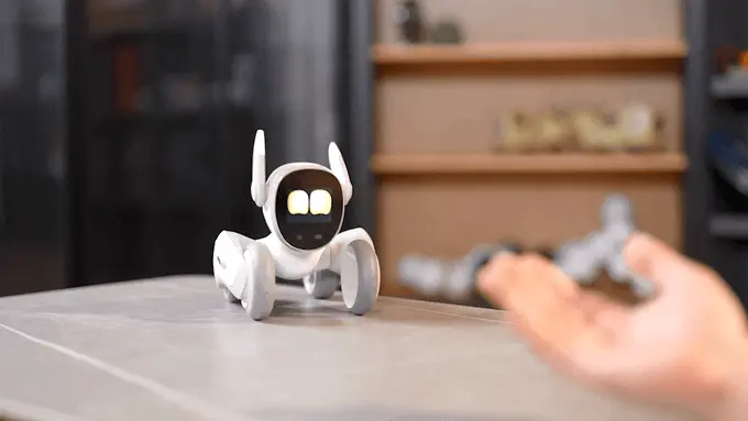 Loona é um pet robô autônomo (Imagem: divulgação/Jianbo)