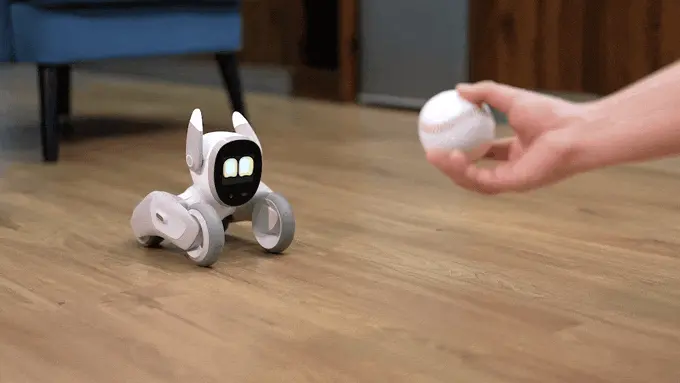 Loona é um pet robô autônomo (Imagem: divulgação/Jianbo)
