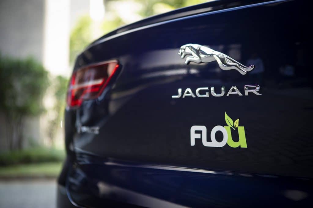 jaguar