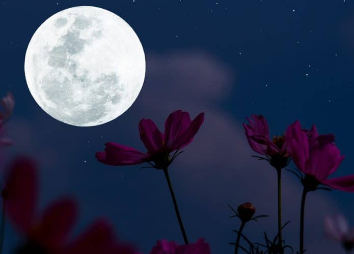 Por que a lua cheia de abril é conhecida como \