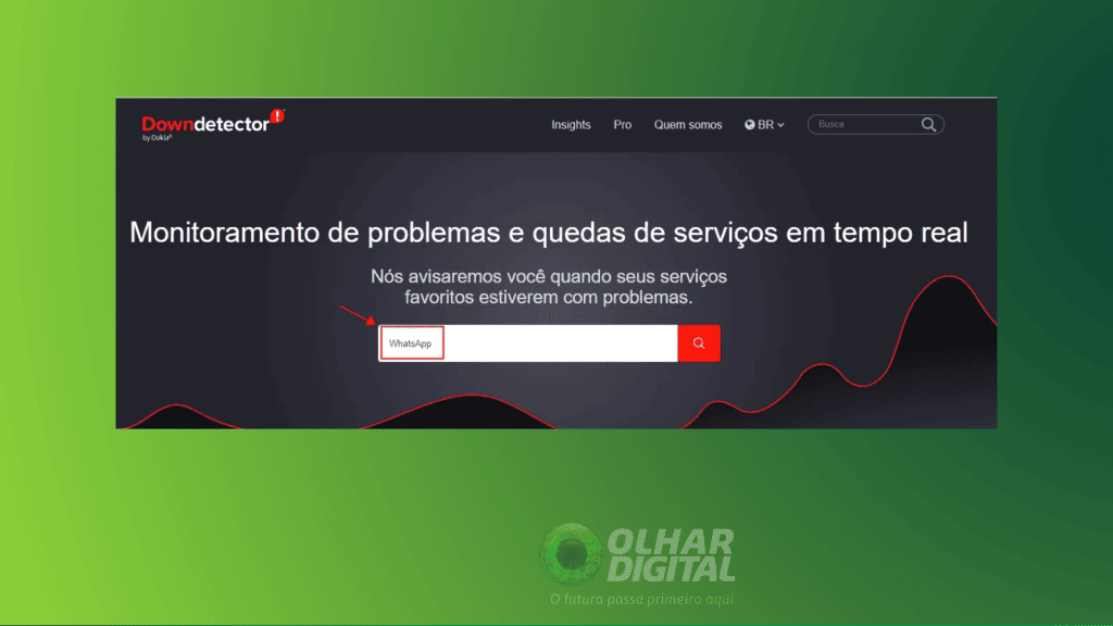 Imagem mostrando print do downdetector