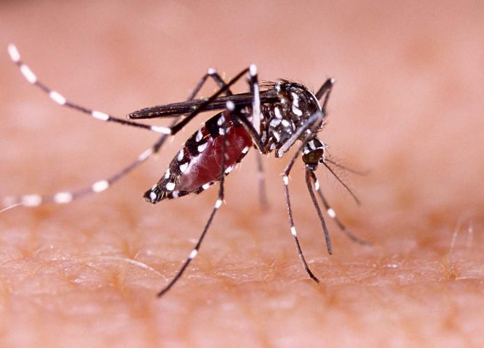 Understand dengue vaccine distribution criteria