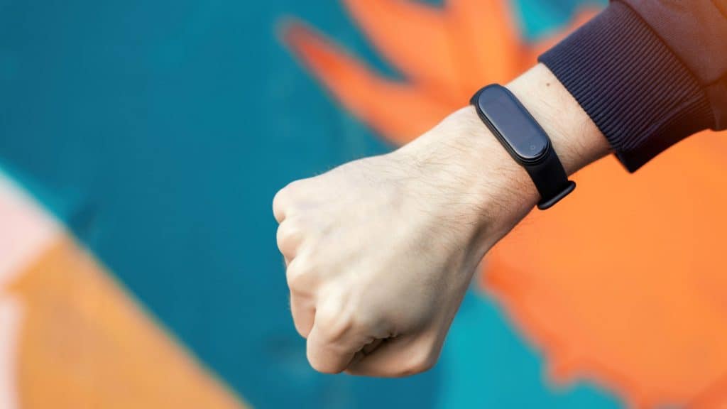 Mi Band Original