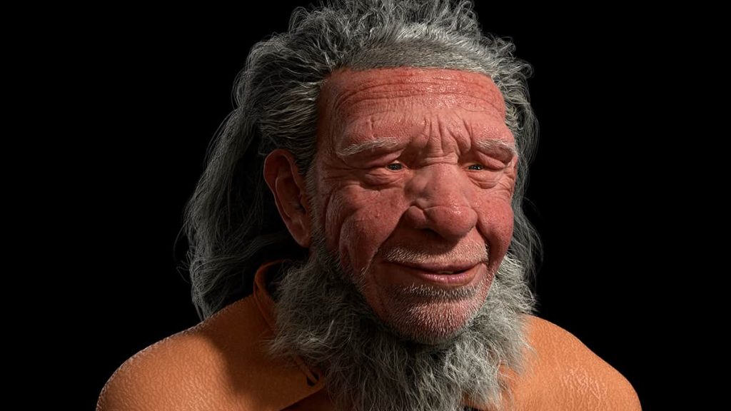 Neandertais poderiam ter comunicação elaborada, revelam estudos Diferentemente dos personagens em filmes e séries de televisão, os neandertais não eram simples brutamontes. Nas últimas décadas, pesquisadores descobriram que esses hominídeos eram capazes de ter uma linguagem complexa, podendo emitir sons elaborados além dos urros e gritos. Representação artística em impressão 3D de um homem neandertal