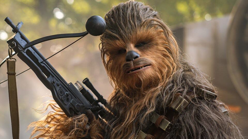 Coral Chewbacca é descoberto em águas profundas do Havaí Apesar de todos os impressionantes avanços científicos das últimas décadas, ainda sabemos muito pouco sobre o que existe no fundo do mar. Mas, uma coisa é certa: as zonas abissais abrigam animais bizarros, muitos deles ainda esperando para serem revelados – e cada nova descoberta consegue ser mais surpreendente que a outra. Chewbacca com uma besta