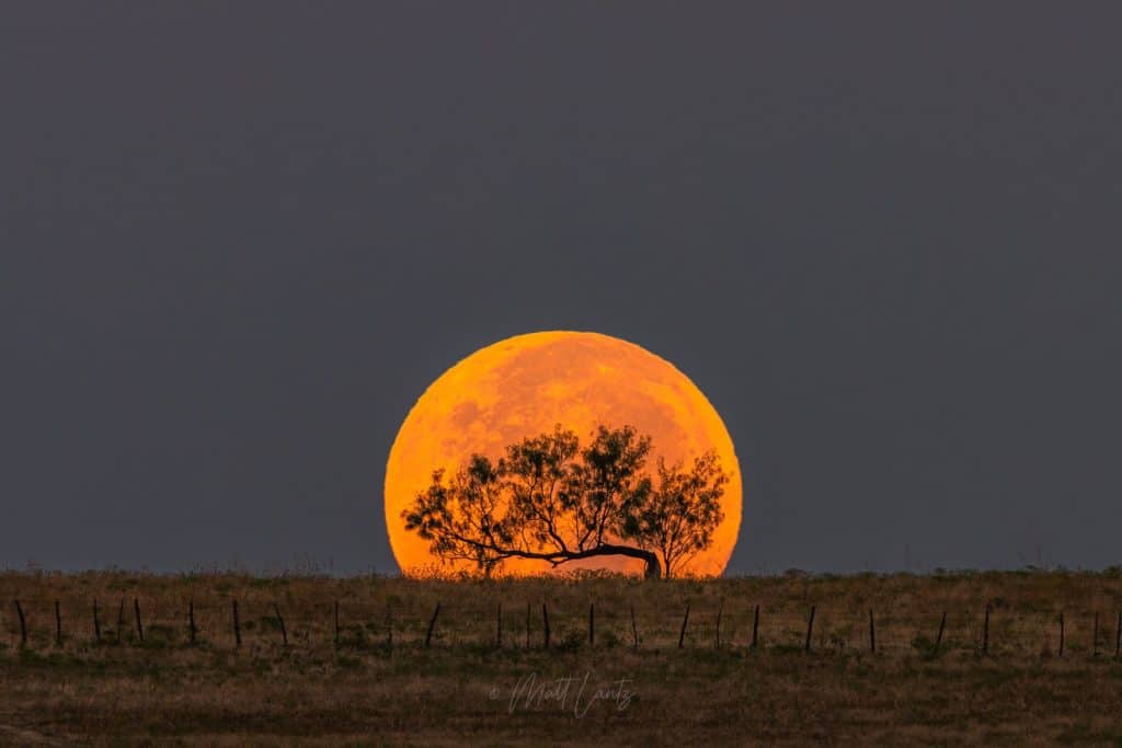Superlua da Colheita (Imagem: reprodução/Matt Lantz)