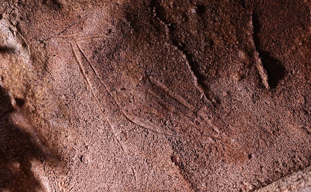 Arte rupestre de um cervo encontrada em Cova Dones (Credito: Ruiz-Redondo/Barciela/Martorell)