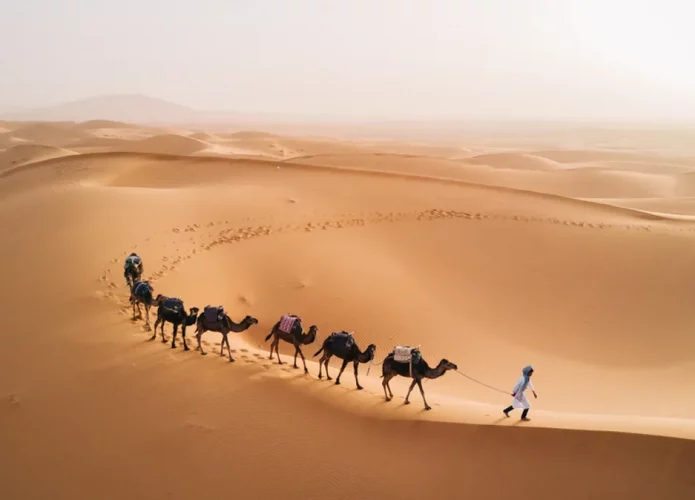 Dá para acreditar? Deserto do Saara fica coberto por florestas a cada 21 mil anos