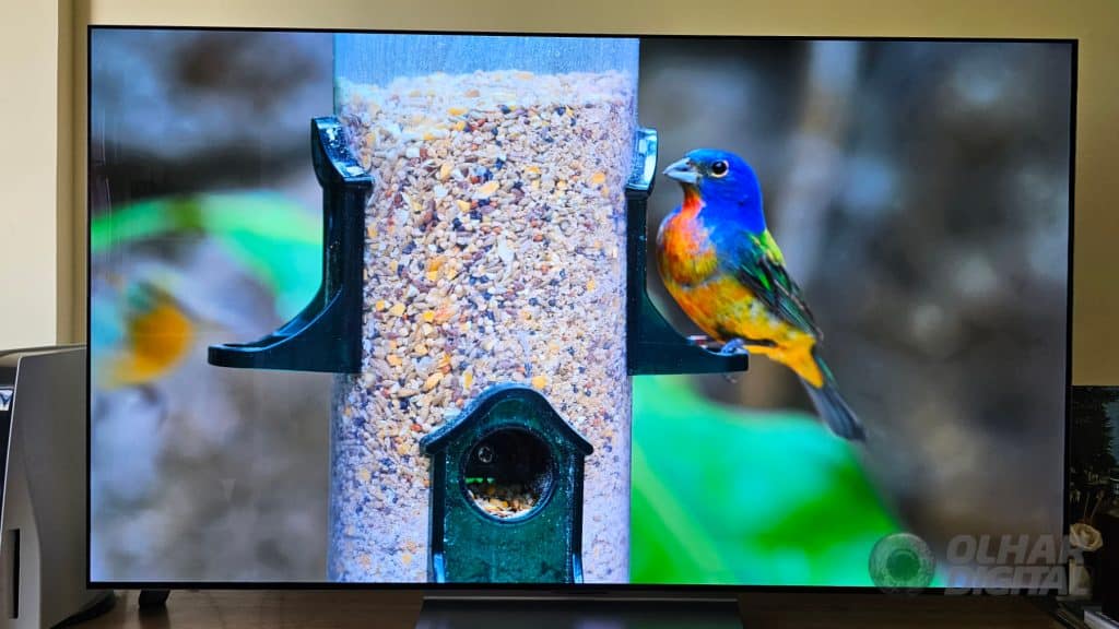 TV OLED evo C3 (Imagem: André Fogaça/Olhar Digital)