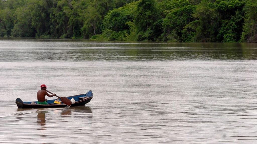 amazonia amazonas