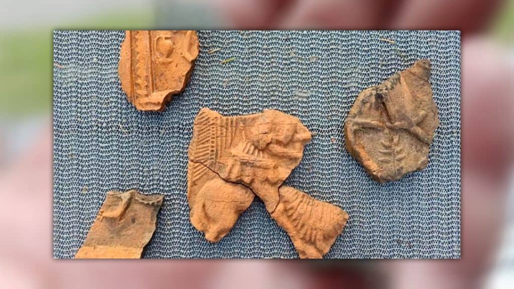 Pedaços de artefato encontrados em expedição arqueológica na Polônia