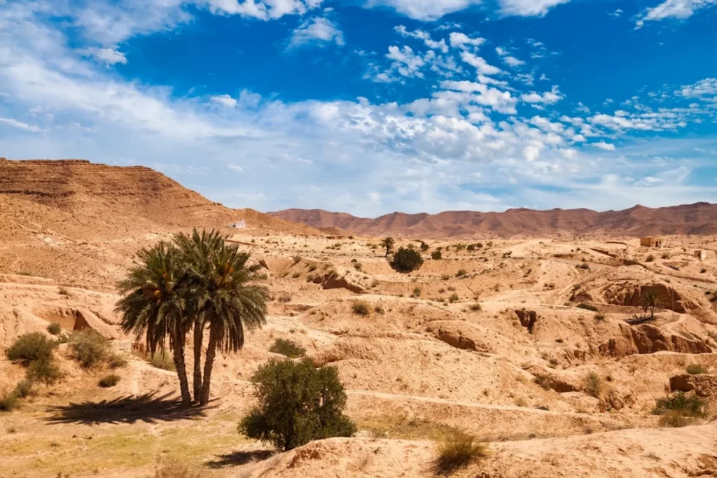 E se a Terra girasse ao contrário? Descubra como seria a vida no planeta Se a Terra passasse a girar na direção contrária, quase tudo mudaria: o clima, os ventos, as correntes marítimas e até a vida das espécies que conhecemos hoje. Deserto do Saara