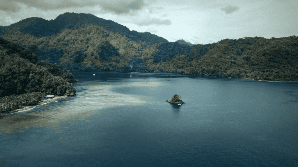 nova guiné ilha 2