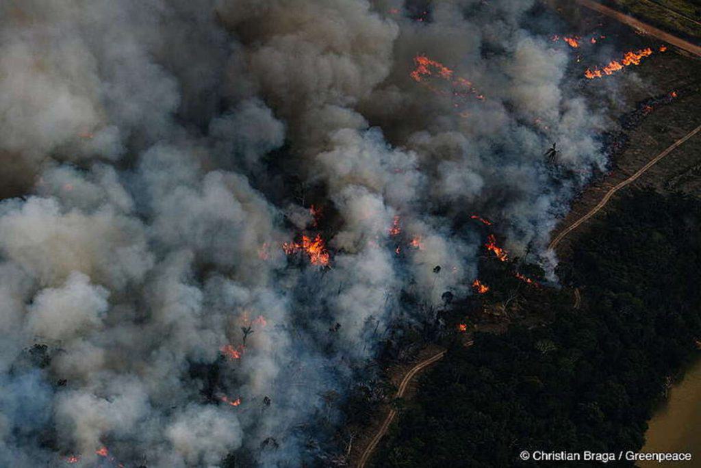 Queimadas na Amazônia