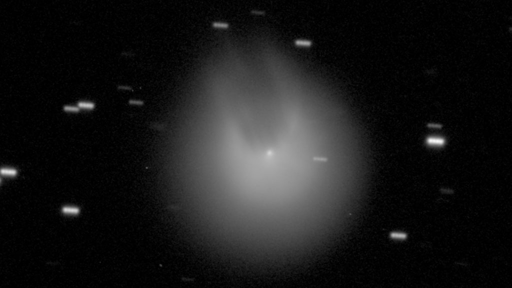 O cometa vulcânico do diabo recebe esse apelido por causa da sua cauda em formato de chifre (Crédito: Comet Chasers/Richard Miles)