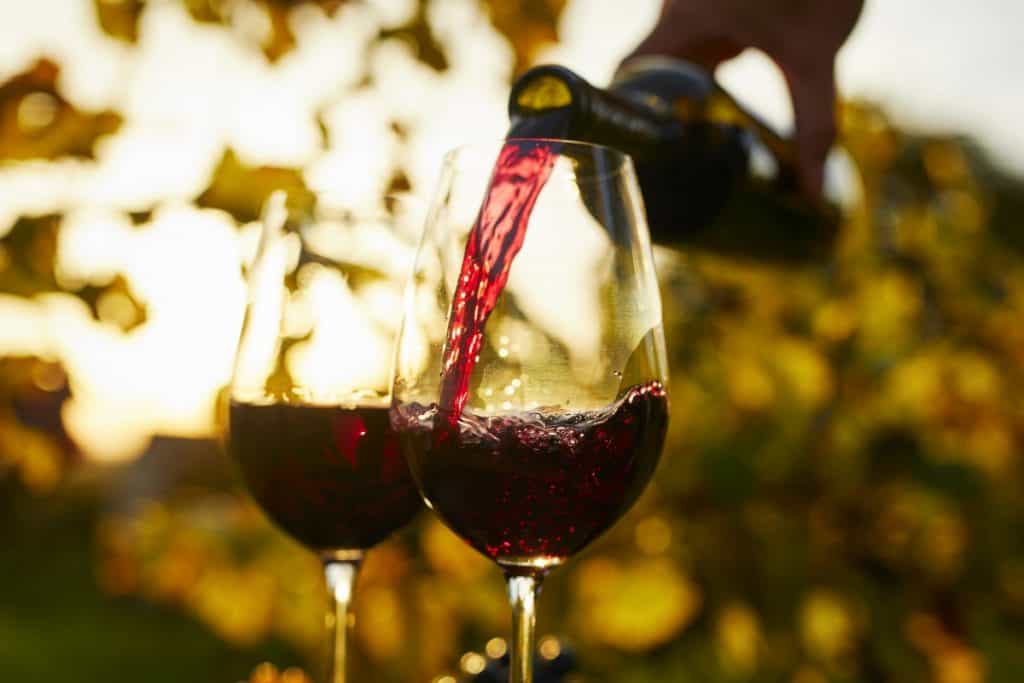 IA vinho