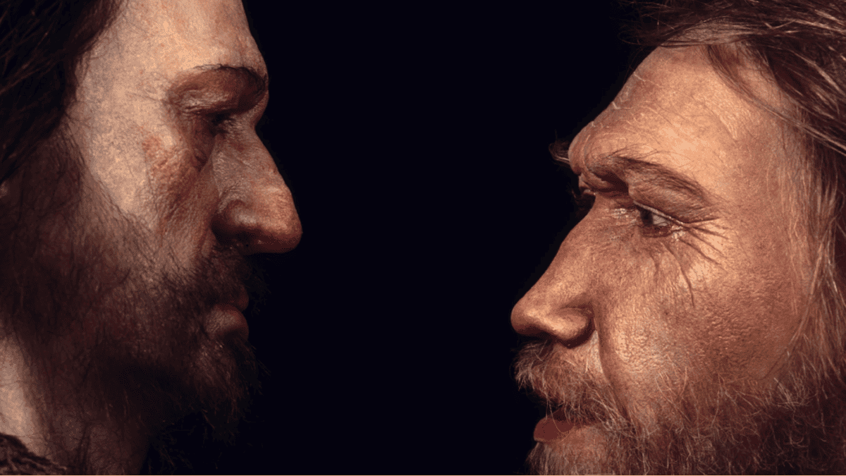 There is a strange ability that distinguishes Homo sapiens from Neanderthals