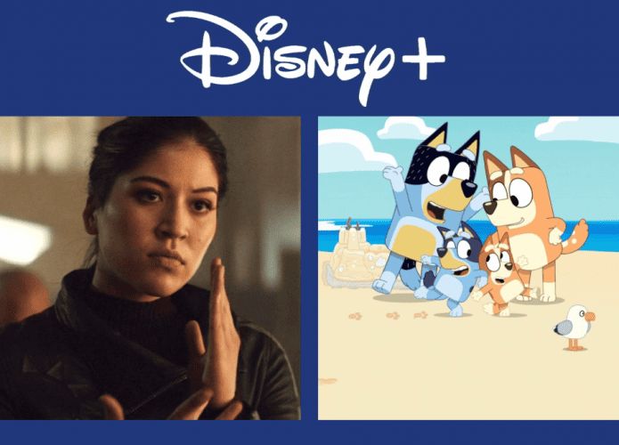 Disney+: releases of the week (from 8 to 14 January)