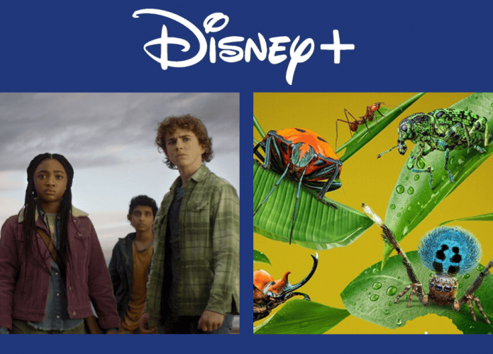 Disney+: releases of the week (from 22 to 28 January)