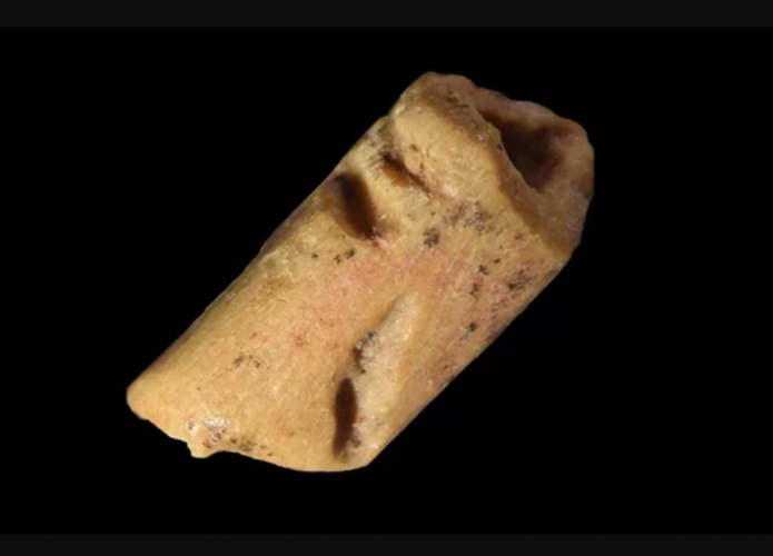 Beads made from bones can reveal secrets of prehistoric people