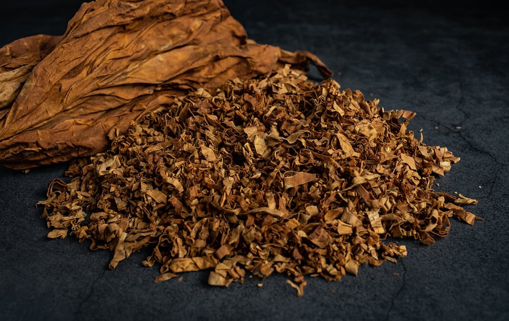 Anteriomente ja haviam sido encontradas evidencias do uso de tabaco na Mesoamérica (Crédito: sisi2017/ shutterstock)