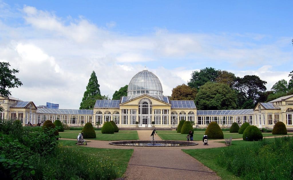 Conservatório Syon Park, cenário de Bridgerton 