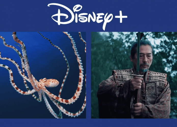 Disney+: releases of the week (from 22 to 28 April)