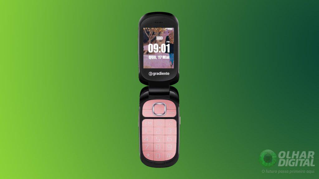 Flip Neo S Gradiente