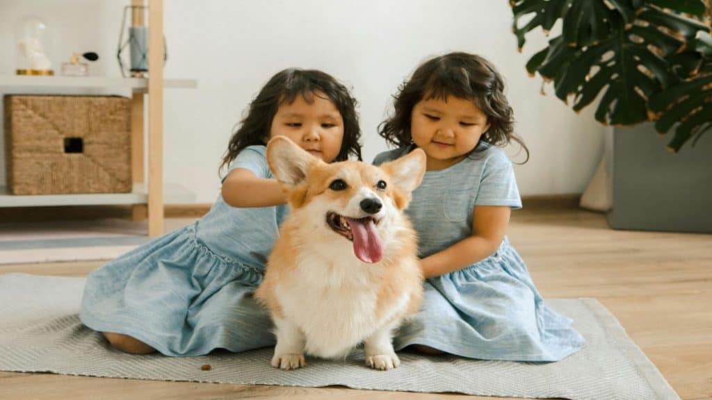 duas meninas pequenas com cachorro de porte pequeno