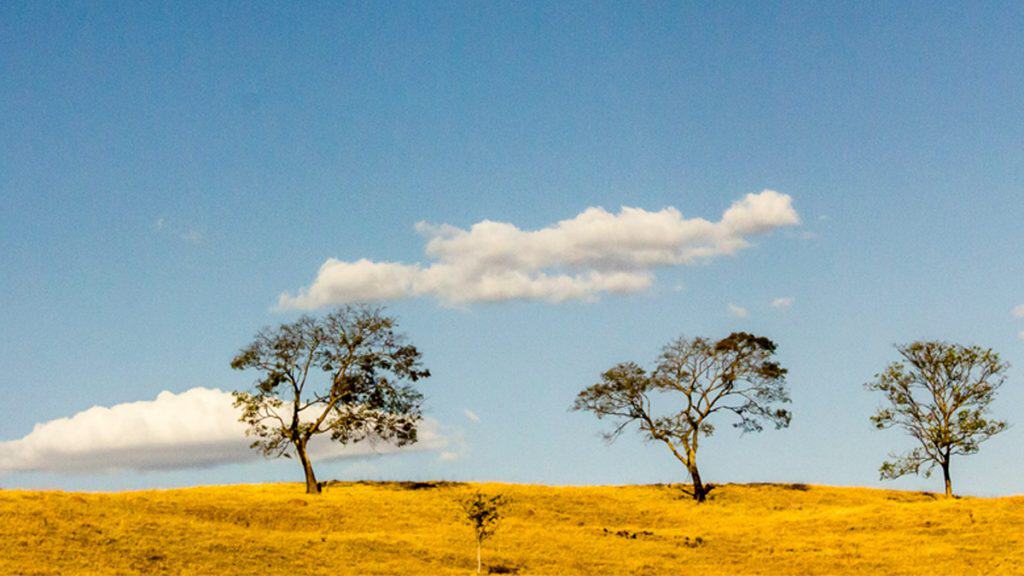 Paisagem do cerrado no Brasil