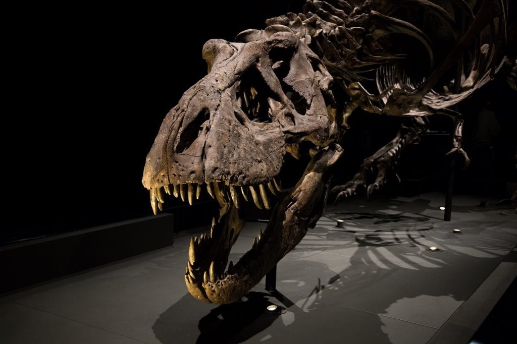t-rex