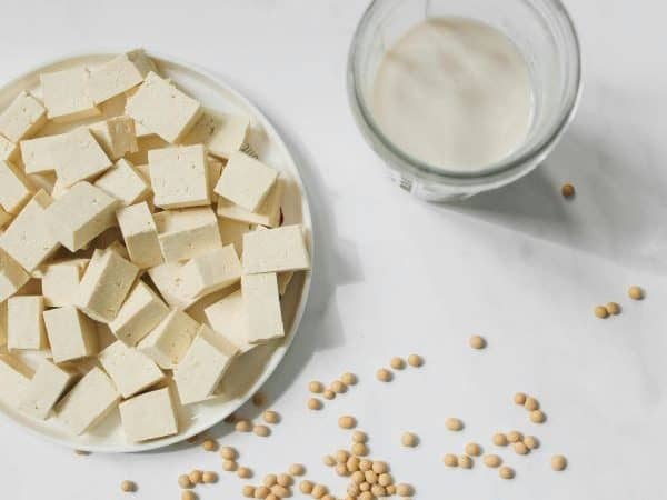 grãos de soja, queijo de soja e copo de leite de soja