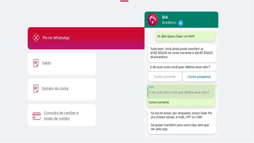 print de conversa com a Bia do Bradesco