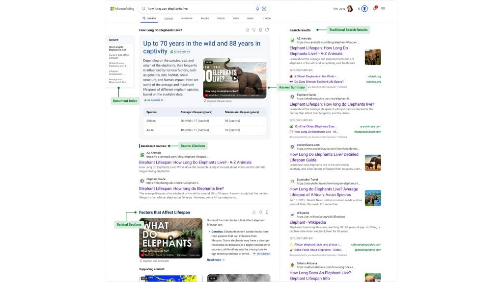 Captura de tela de resumo feito por IA no Bing