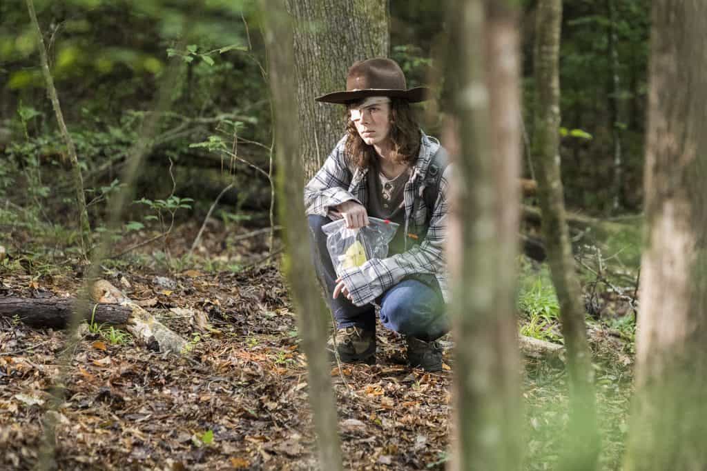 The King, The Widow, and Rick, classificado como um dos piores episódios de The Walking Dead
