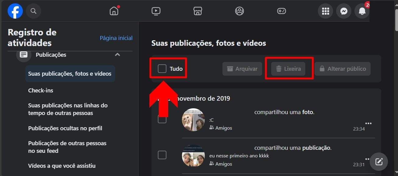 imagem mostra todas as publicações do facebook e como marcar todas elas para excluí-las