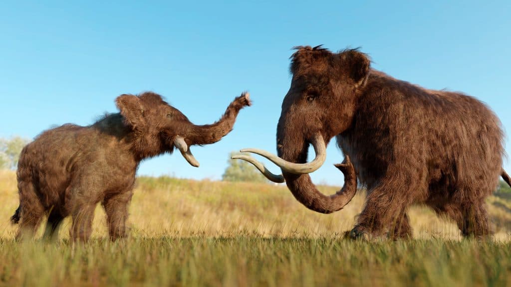 Ilustração 3D de mamute e filhote em paisagem com vegetação rasteira