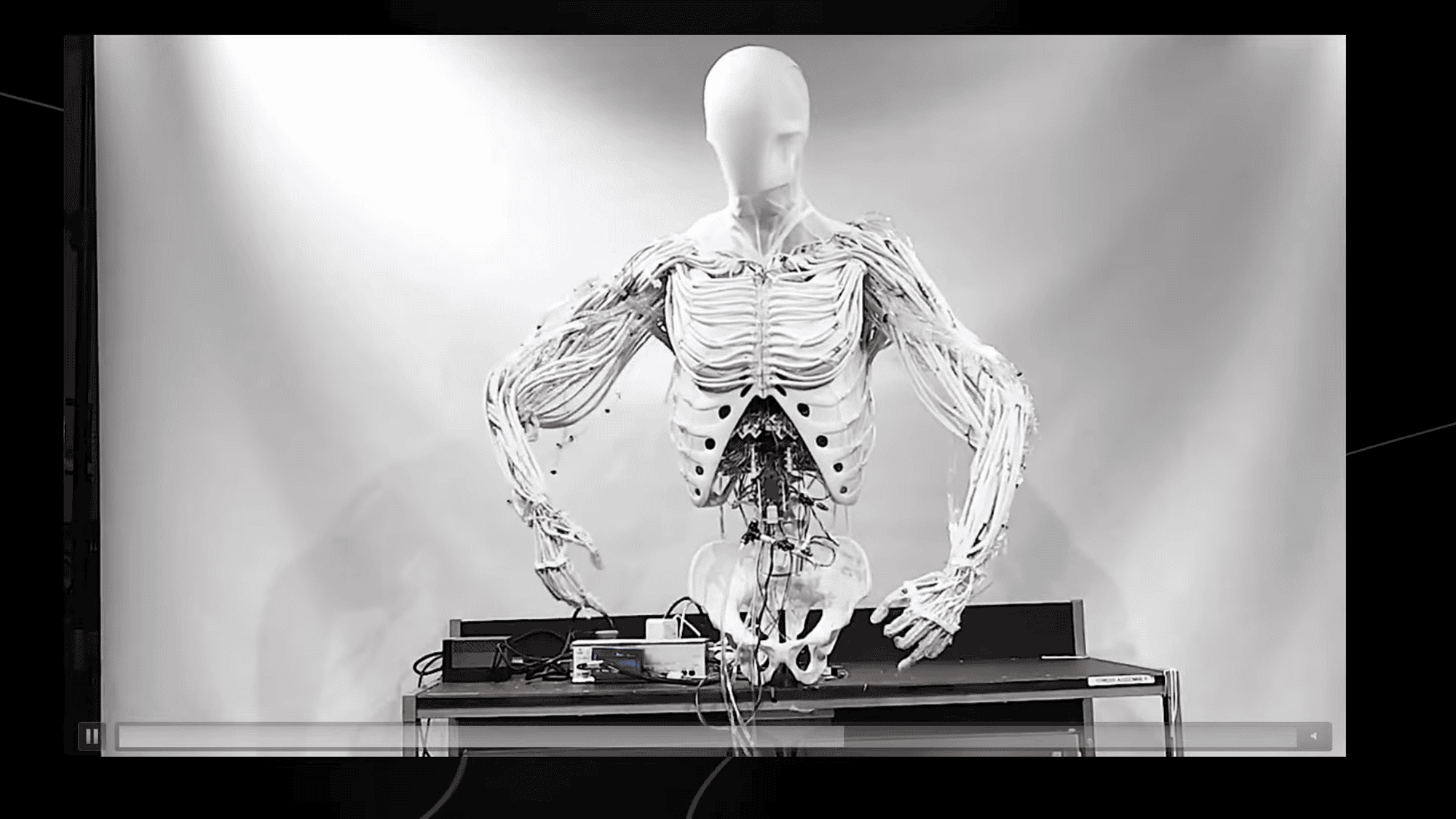 Robô maromba? Novo músculo artificial consegue levantar 4 mil vezes seu peso!
