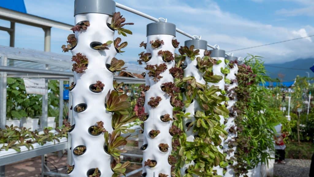 
jardins hidropônicos verticais, jardins hidropônicos em torres usando tubulações