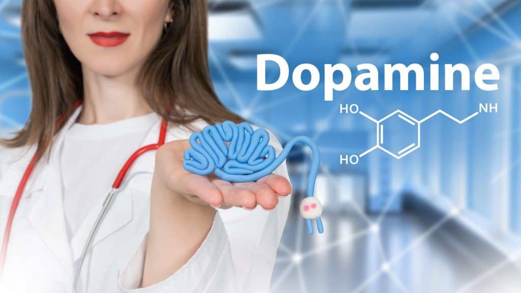 Hormônios da dopamina. Médica segurando um cérebro humano na mão. Produção de dopamina no cérebro humano. Hormônios da felicidade para o organismo. Fórmula da dopamina. Médica em close sugere verificar os níveis hormonais.