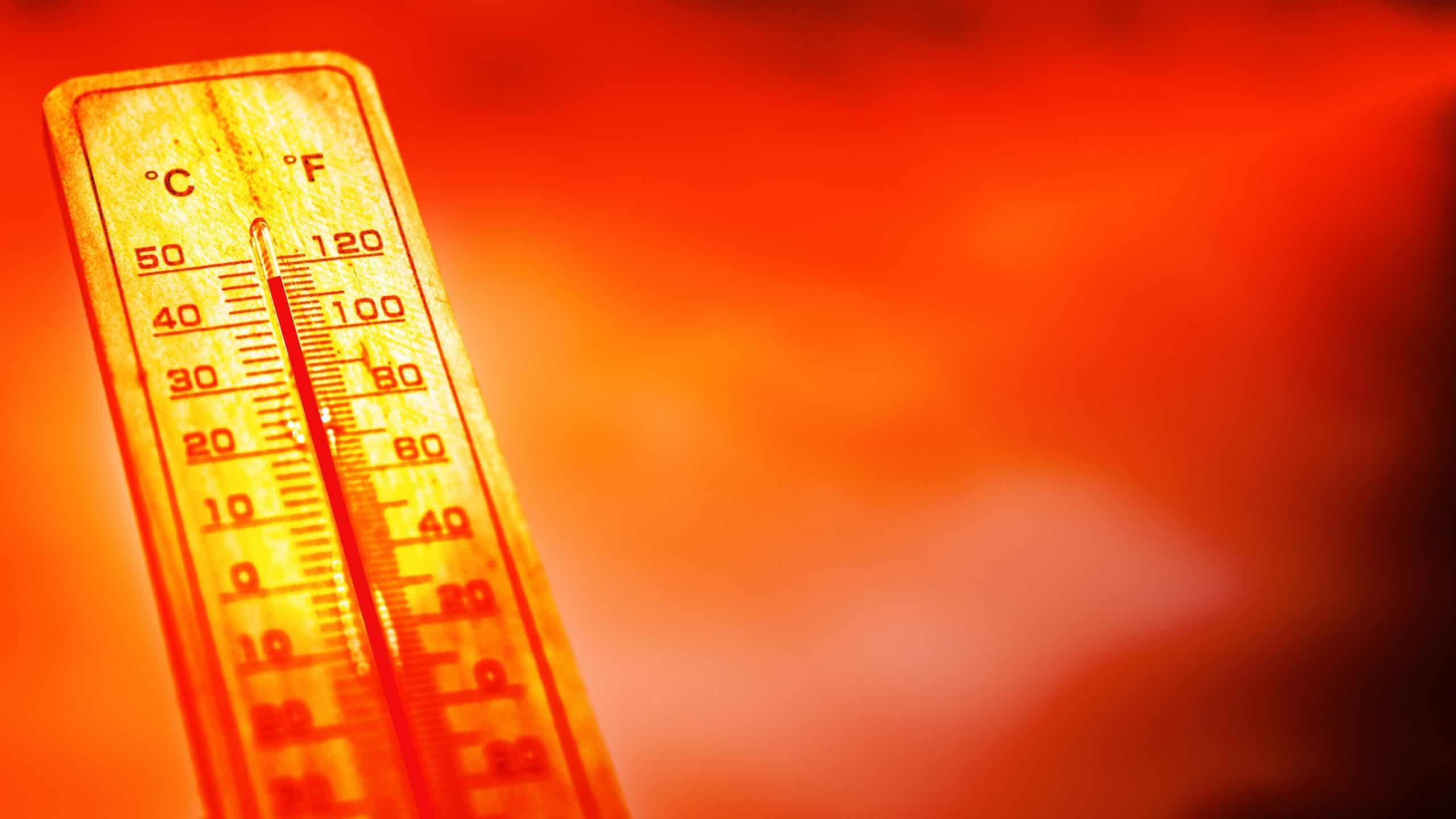 Perda de insetos em ecossistemas remotos acende alerta ambiental Um estudo da Universidade da Carolina do Norte em Chapel Hill revela que as populações de insetos estão diminuindo rapidamente, mesmo em ecossistemas relativamente intocados, levantando alertas sobre a saúde dos ecossistemas que dependem deles. Ilustração digital com termômetro marcando temperatura alta em dia vermelho