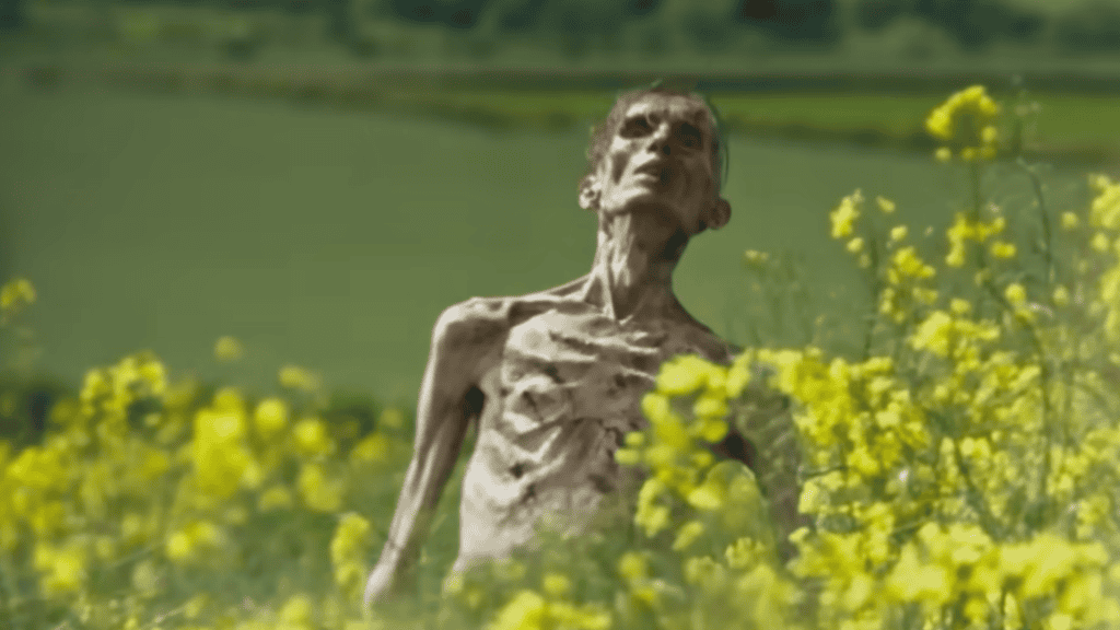 Zumbi interpretador por Angus Neill e confundido com Cillian Murphy via Sony Pictures/reprodução