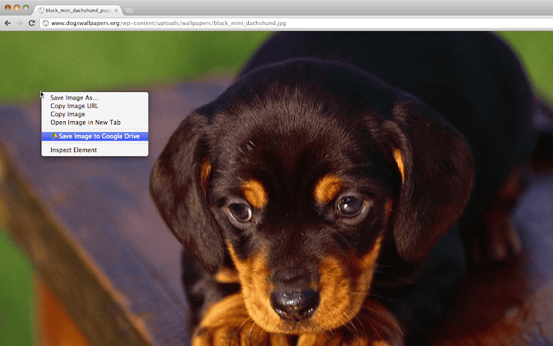 Extensão Save to Google Drive
