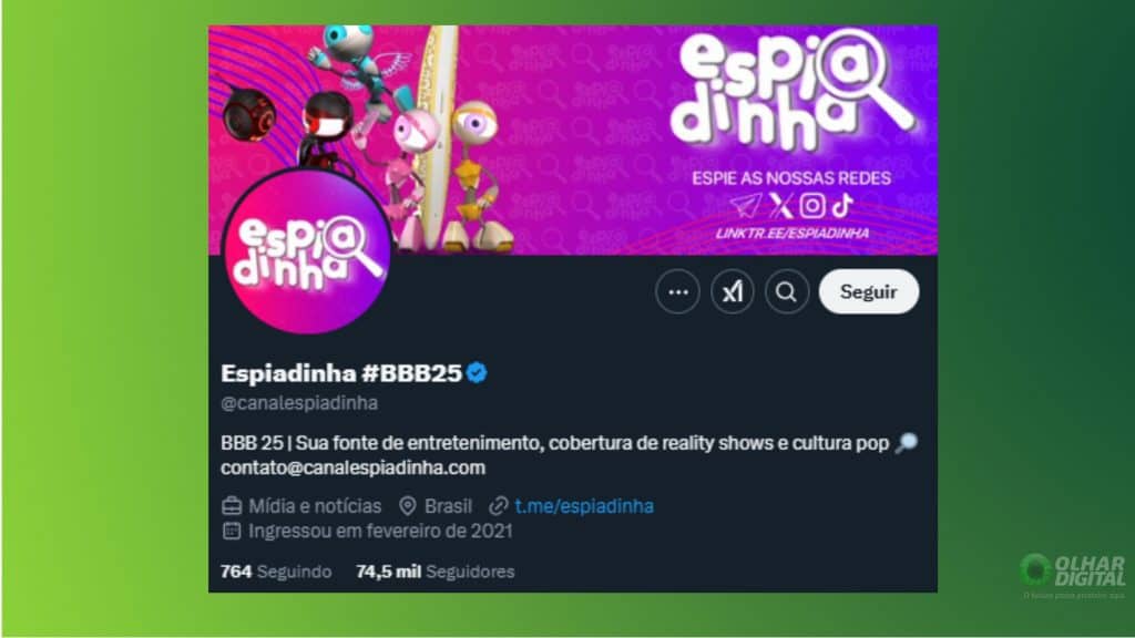 Print do perfil de @CanalEspiadinha no X/