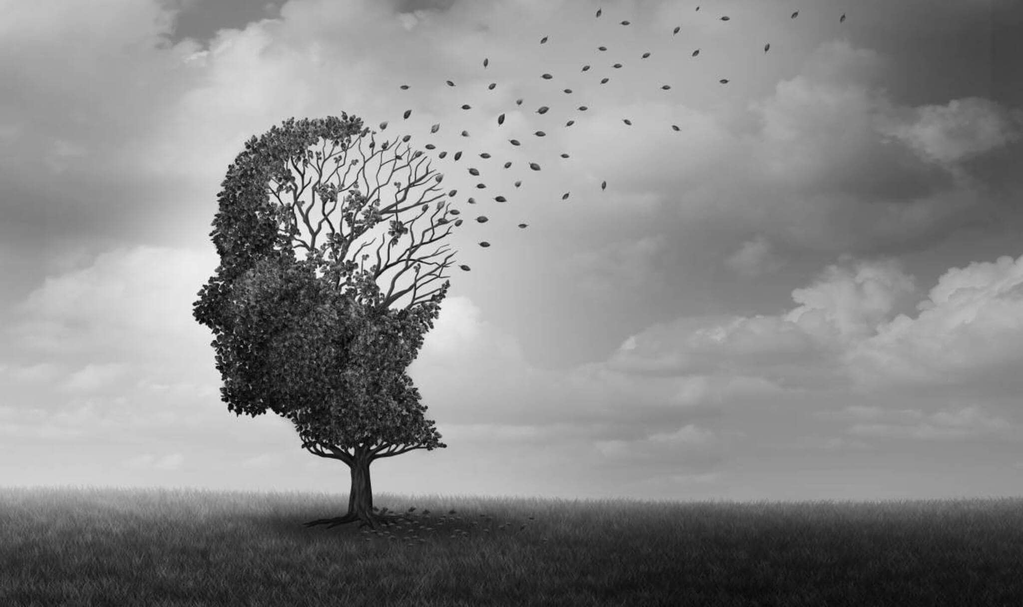 Exame de sangue testado no Brasil é capaz de detectar Alzheimer com mais de 90% de precisão
