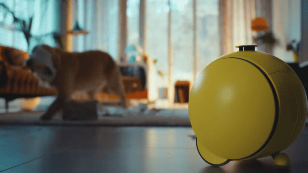 Robô da Samsung de costas, "Olhando" para um cachorro ao fundo