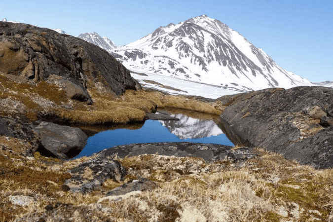 Imagem de vegetação, com um lago e uma montanha congelada ao fundo