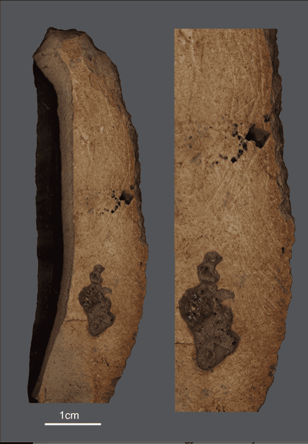 Artefatos de 50 mil anos revelam símbolos misteriosos Um novo estudo realizado por pesquisadores da Escola Hebraica de Jerusalém, em Israel, aponta que vários artefatos criados por humanos antigos entre 50 mil e 100 mil anos atrás foram projetados com “gravuras sutis, mas intencionais”. Eles foram localizados na região do Oriente Médio. Artefatos de 50 mil anos revelam símbolos misteriosos