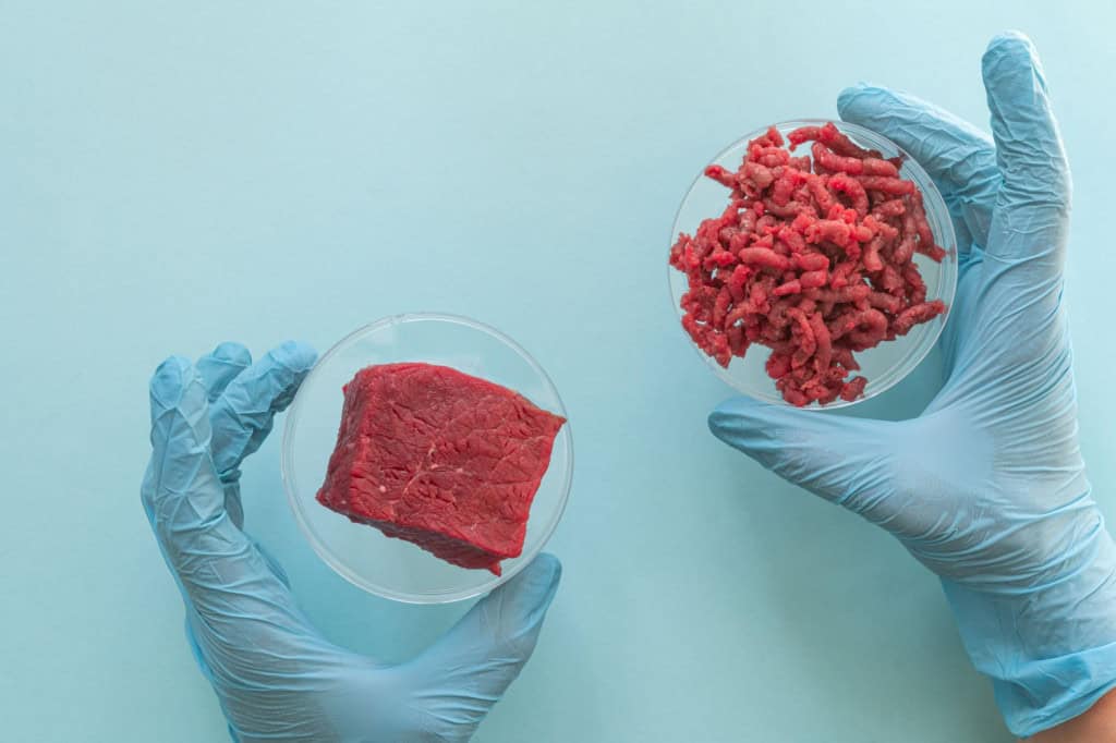 Crie carne artificial na sua casa com essa máquina japonesa Esqueça o macarrão instantâneo: o jantar de amanhã pode ser um filé de frango cultivado em células, feito do zero em uma máquina de carne que fica na bancada da sua cozinha. carne lab
